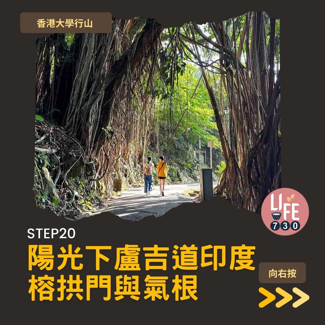 港大行山路線︱龍虎山上盧吉道接纜車徑 香港島好去處(am730製圖)