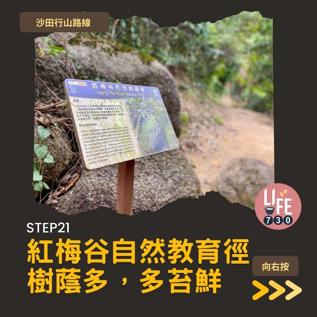 沙田行山路線︱望夫石鄰近市區 難度不高親子之選(am730製圖)