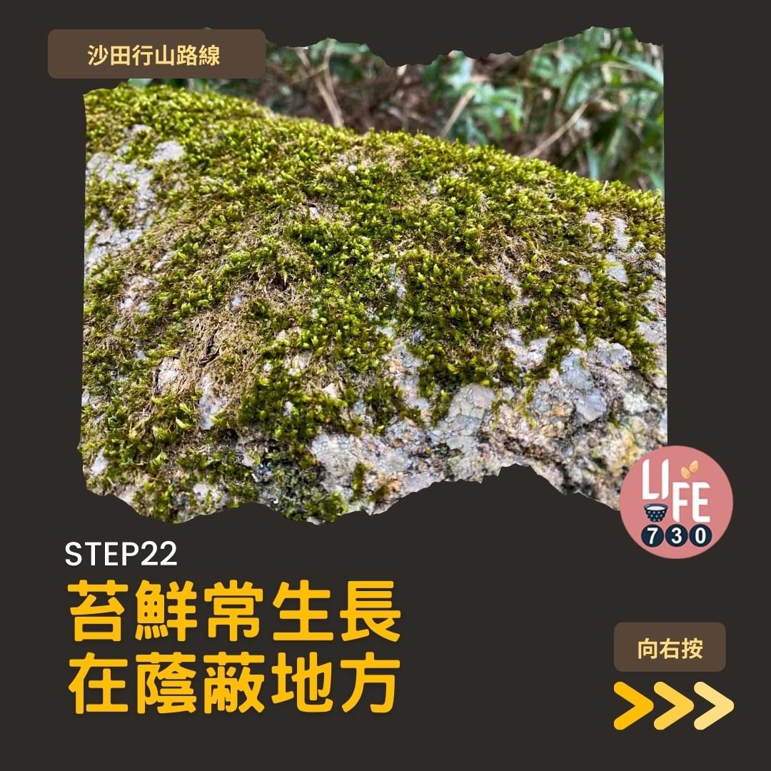 沙田行山路線︱望夫石鄰近市區 難度不高親子之選(am730製圖)