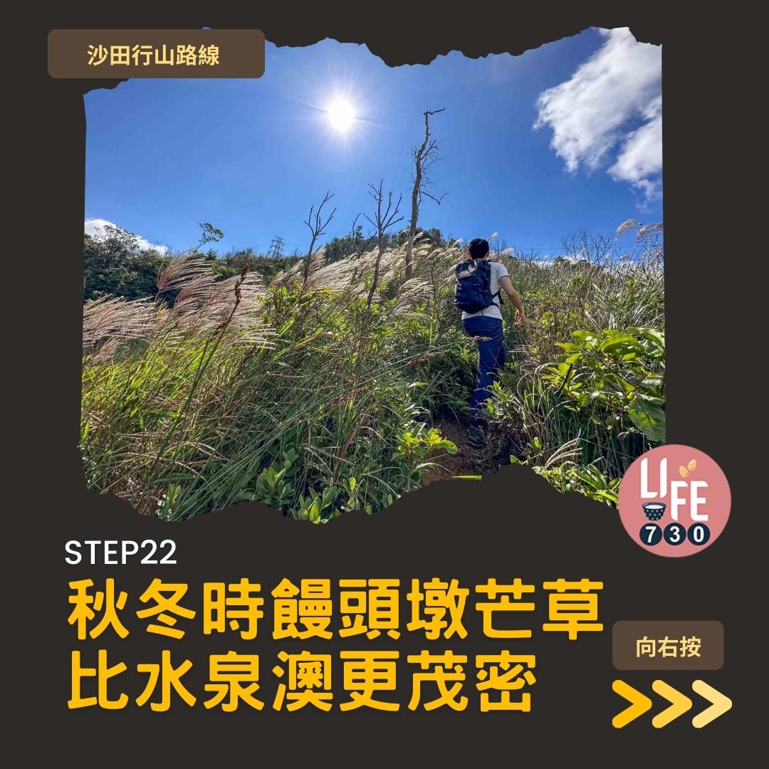 沙田行山|水泉澳去慈雲山 中級路線有攀爬位(am730製圖)