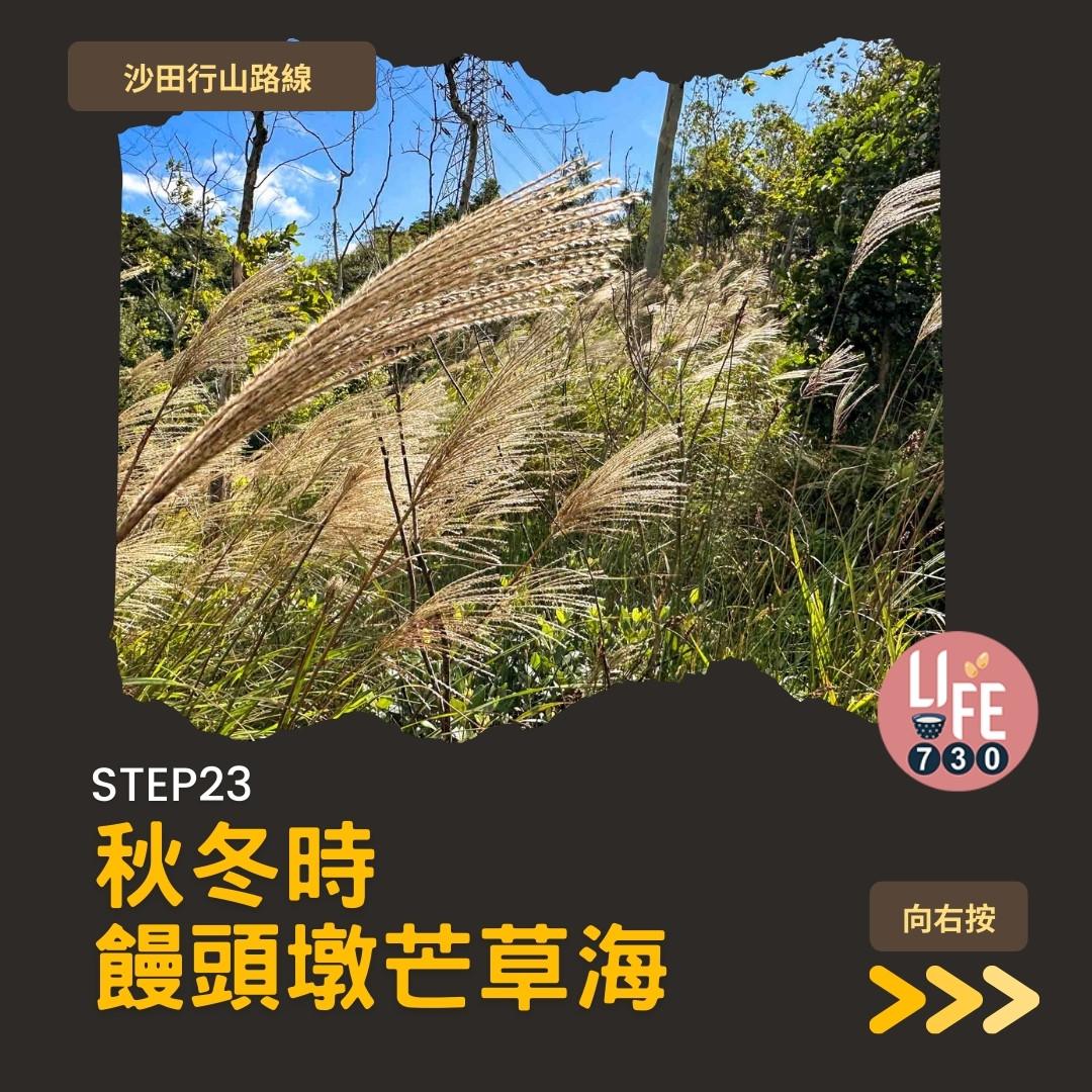 沙田行山|水泉澳去慈雲山 中級路線有攀爬位(am730製圖)