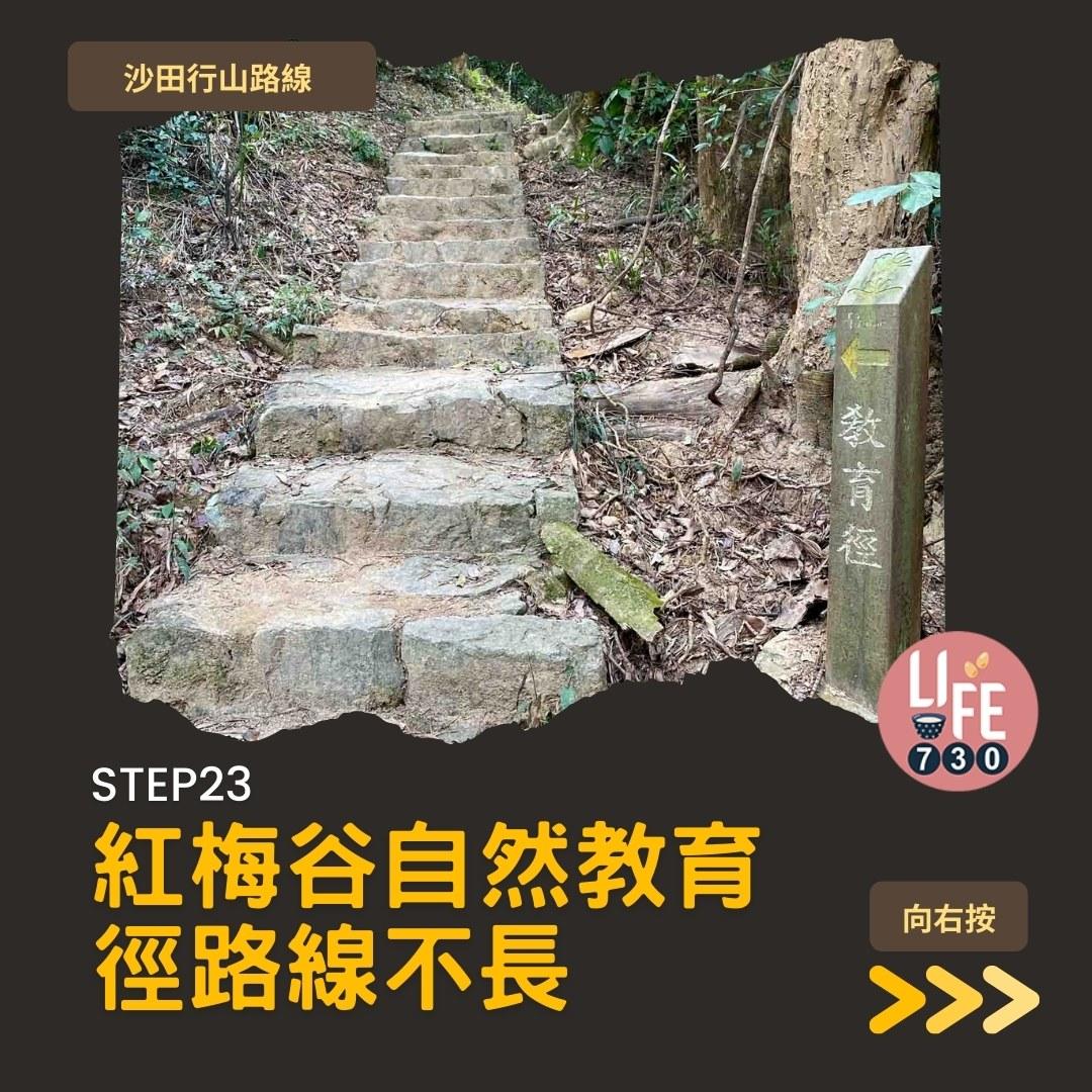 沙田行山路線︱望夫石鄰近市區 難度不高親子之選(am730製圖)