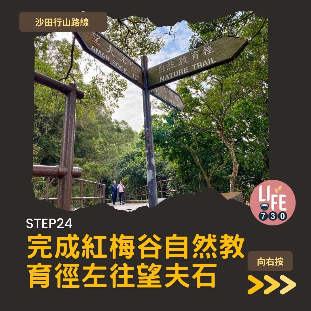 沙田行山路線︱望夫石鄰近市區 難度不高親子之選(am730製圖)