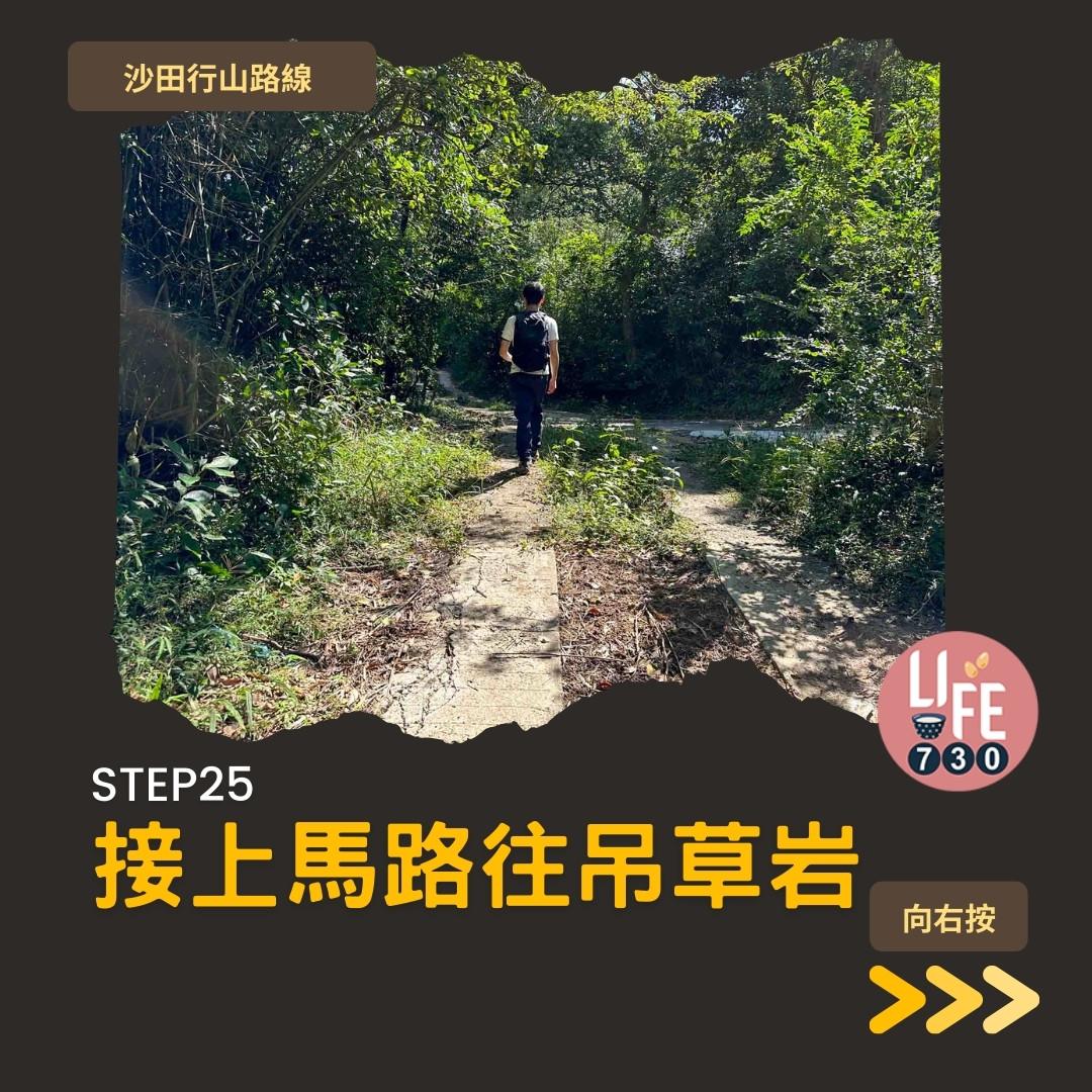 沙田行山|水泉澳去慈雲山 中級路線有攀爬位(am730製圖)