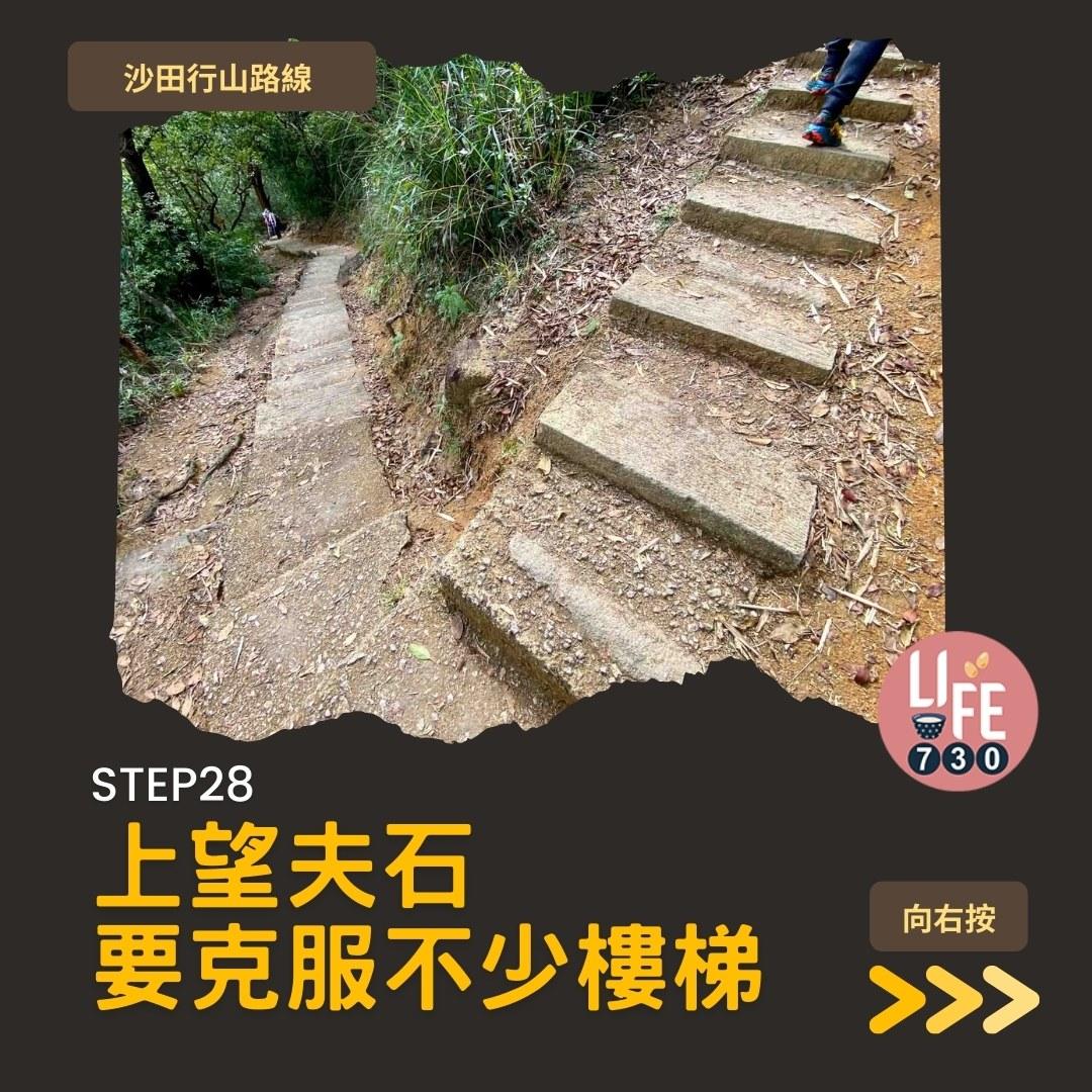 沙田行山路線︱望夫石鄰近市區 難度不高親子之選(am730製圖)