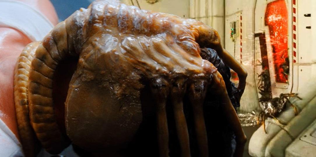 吸啜人類面部的異形依然是電影重點殺人生物。