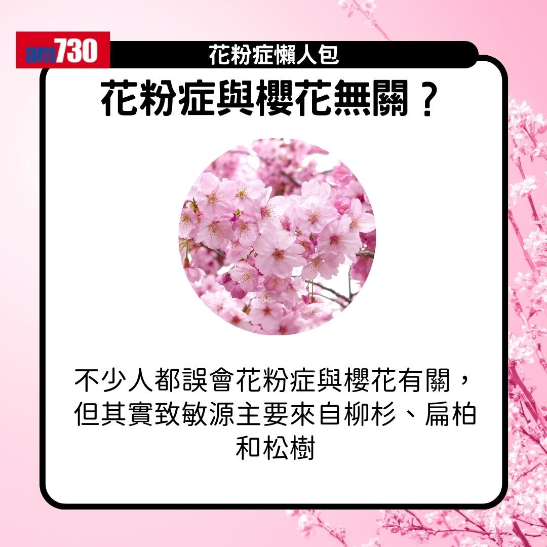 花粉症原因、症狀及舒緩方法(am730製圖)