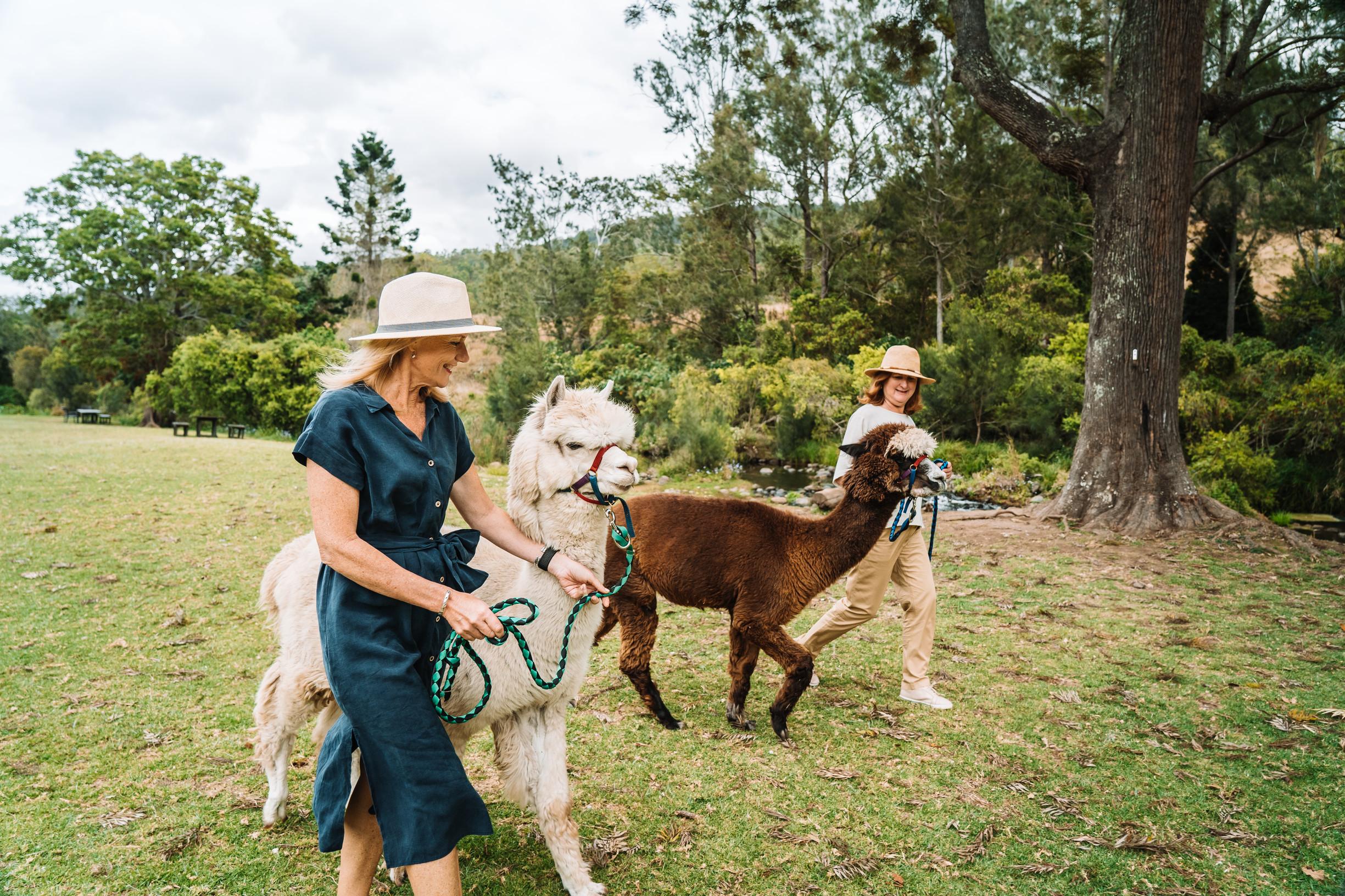 可倫賓野生動物園Currumbin Wildlife Sanctuary