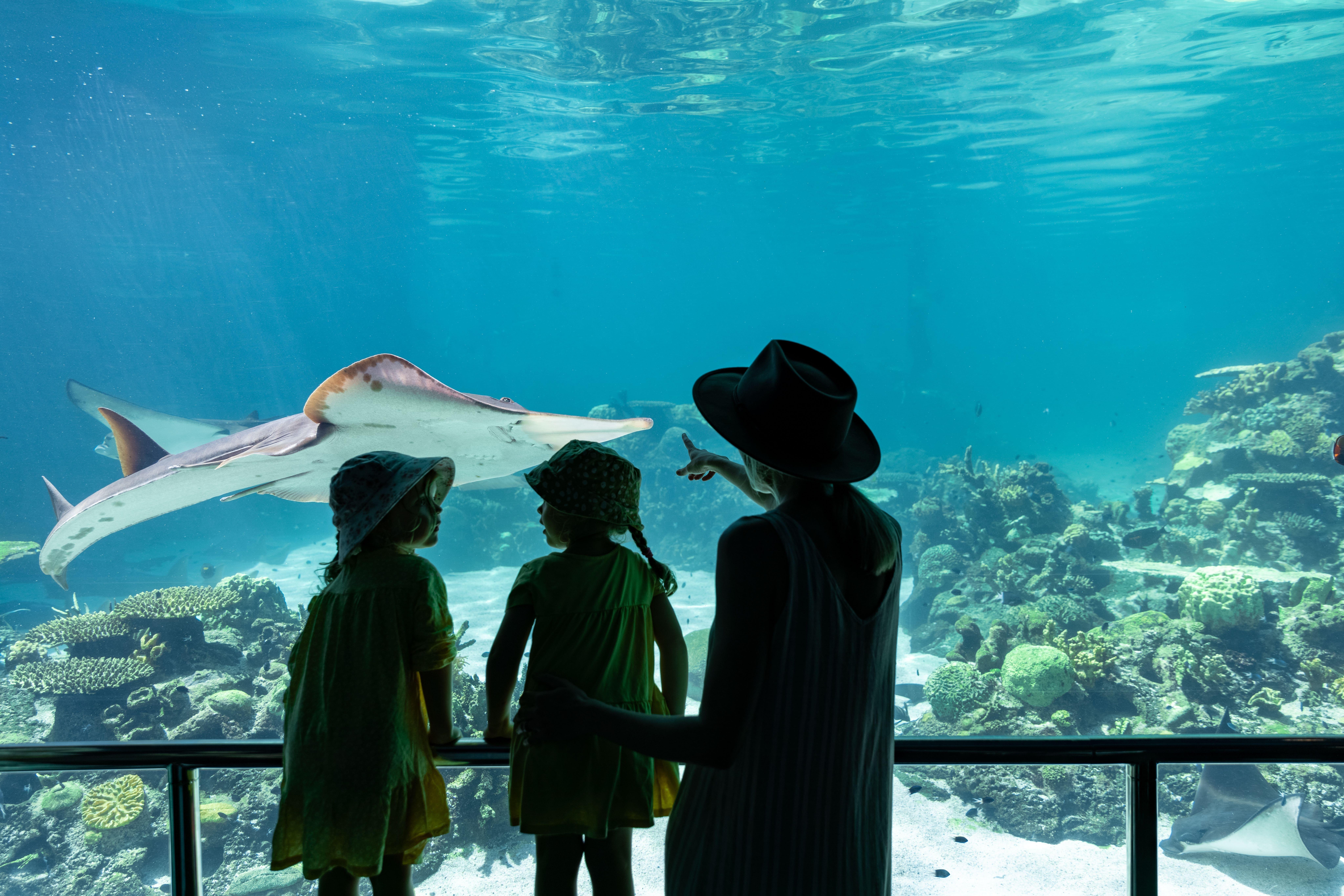 海洋世界 Sea World Marine Park