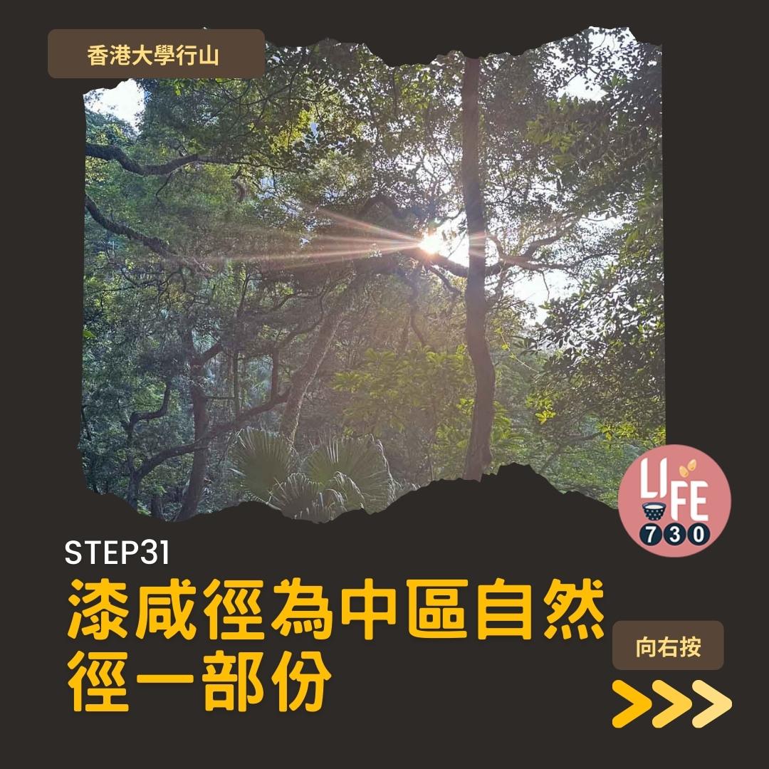 港大行山路線︱龍虎山上盧吉道接纜車徑 香港島好去處(am730製圖)