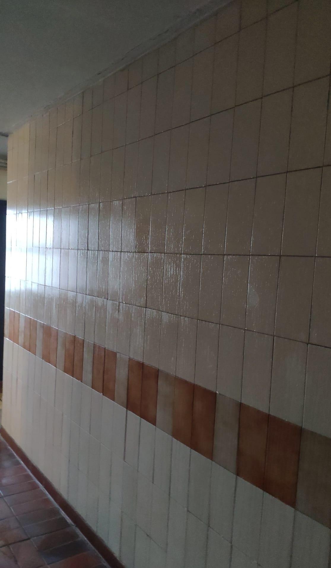 將軍澳區屋苑非常潮濕。(將軍澳主場fb)