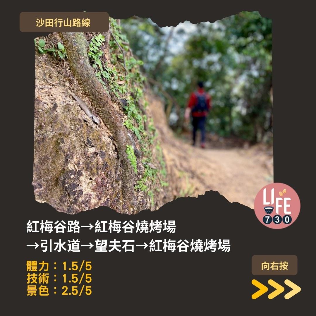 沙田行山路線︱望夫石鄰近市區 難度不高親子之選(am730製圖)