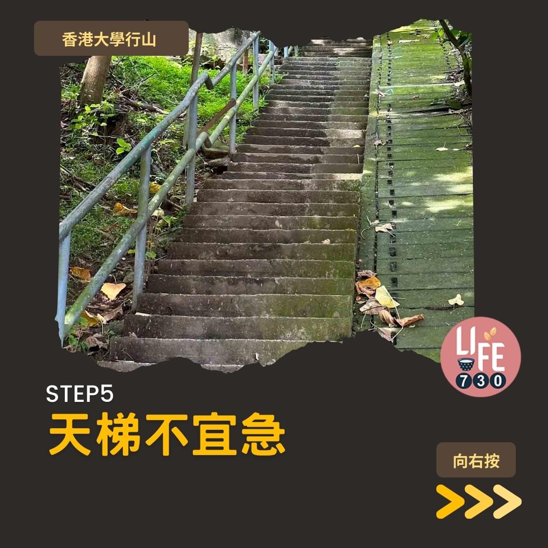 港大行山路線︱龍虎山上盧吉道接纜車徑 香港島好去處(am730製圖)