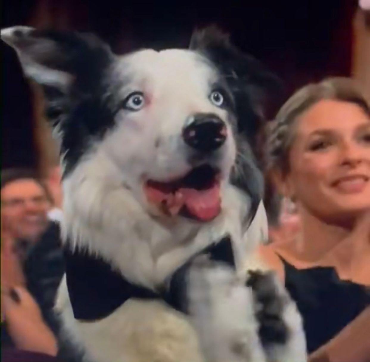 Messi成為頒獎禮的座上客,直播時驚現拍手畫面。