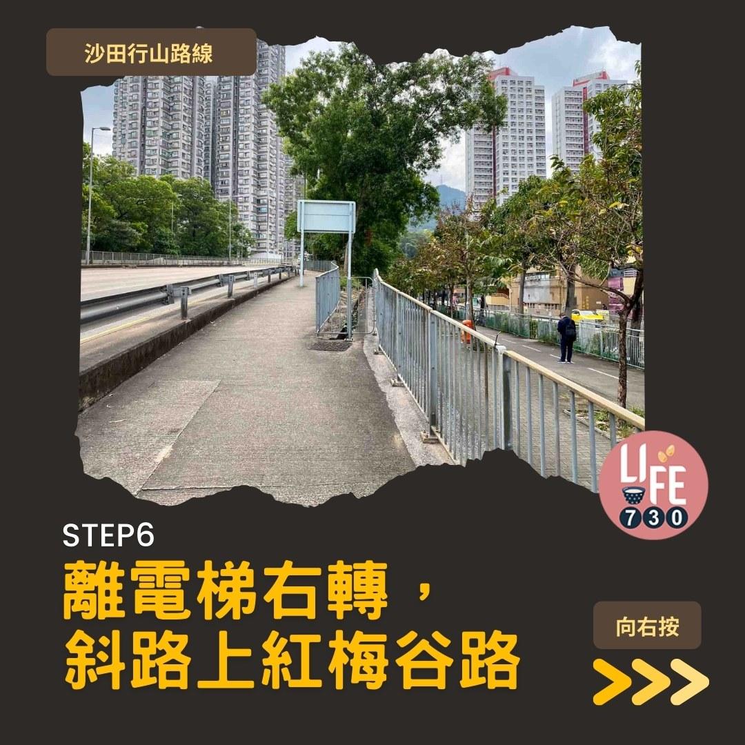 沙田行山路線︱望夫石鄰近市區 難度不高親子之選(am730製圖)