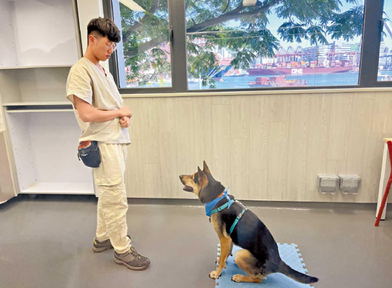 愛護動物協會賽馬會百周年中心