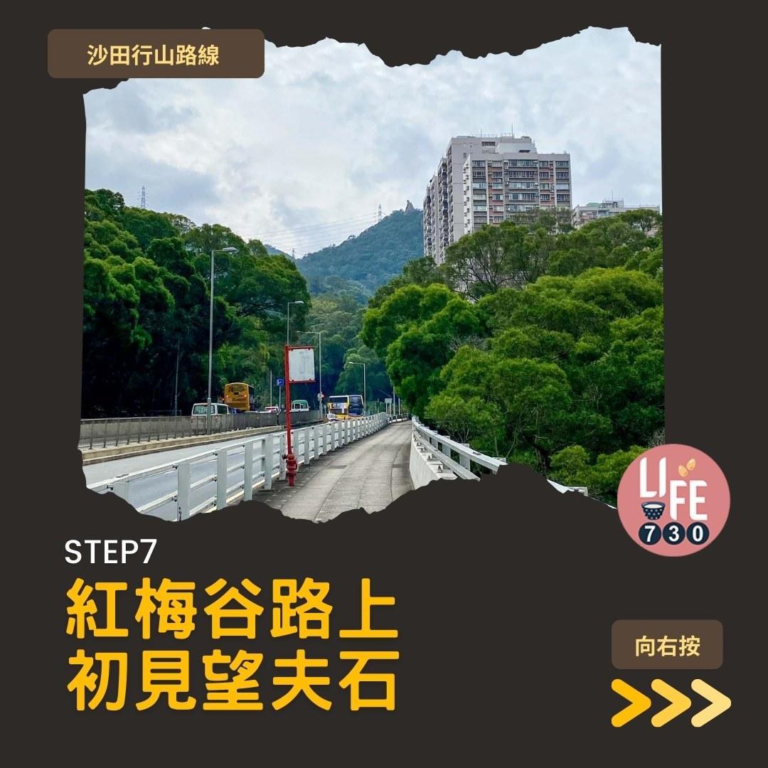 沙田行山路線︱望夫石鄰近市區 難度不高親子之選(am730製圖)