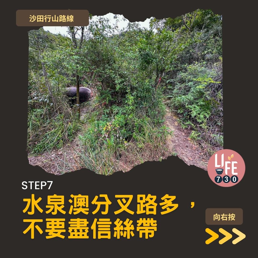 沙田行山|水泉澳去慈雲山 中級路線有攀爬位(am730製圖)