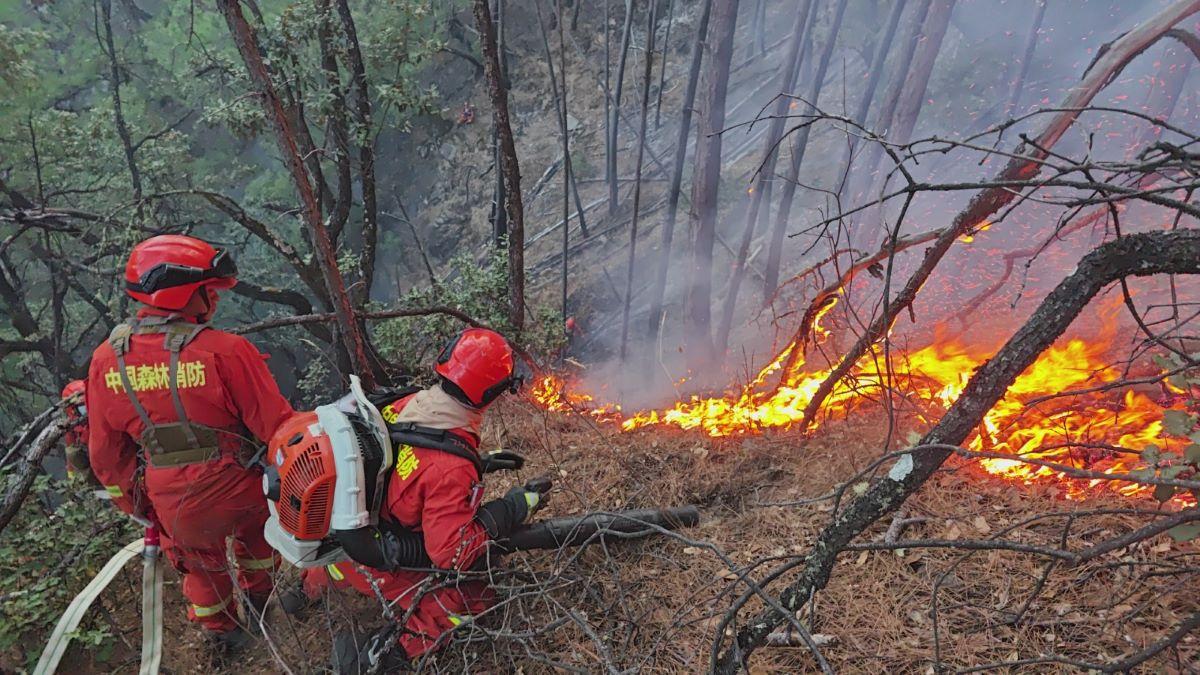 四川雅江縣山火|已撲滅1號火場明火 3鄉鎮疏散超過5900人(新華社)