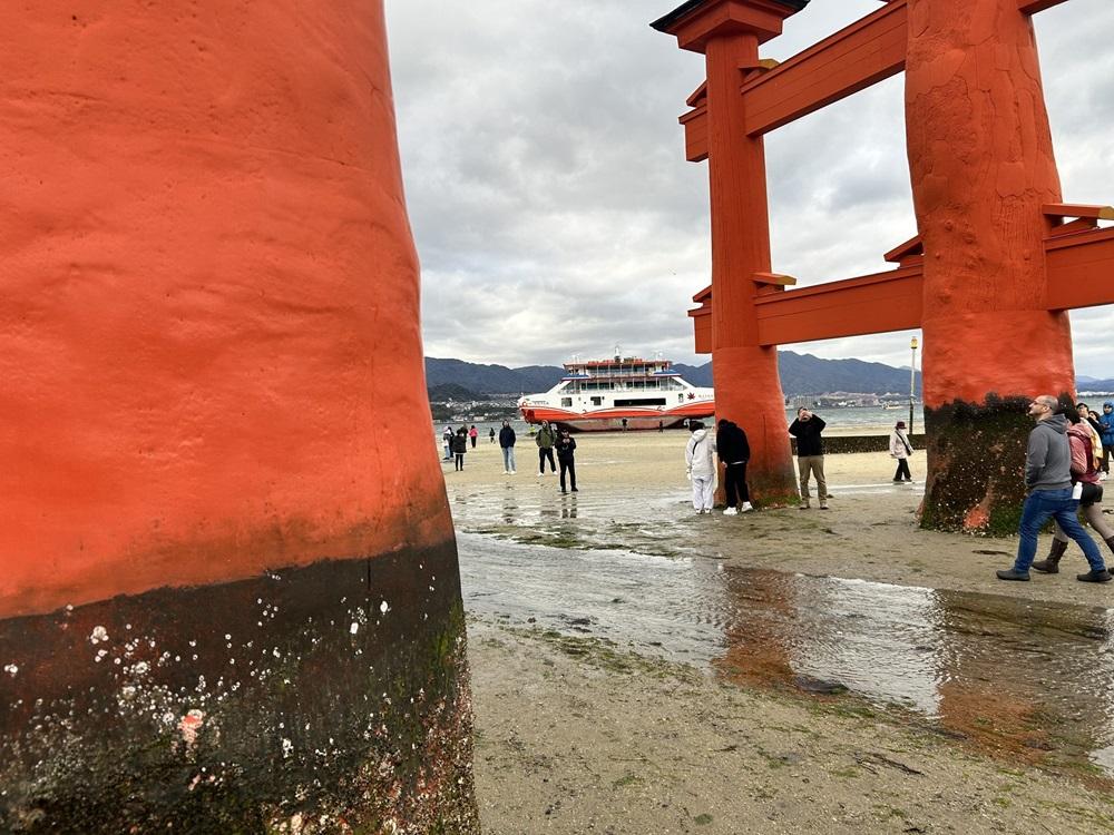 遊客都與擱淺渡輪拍攝。(X)