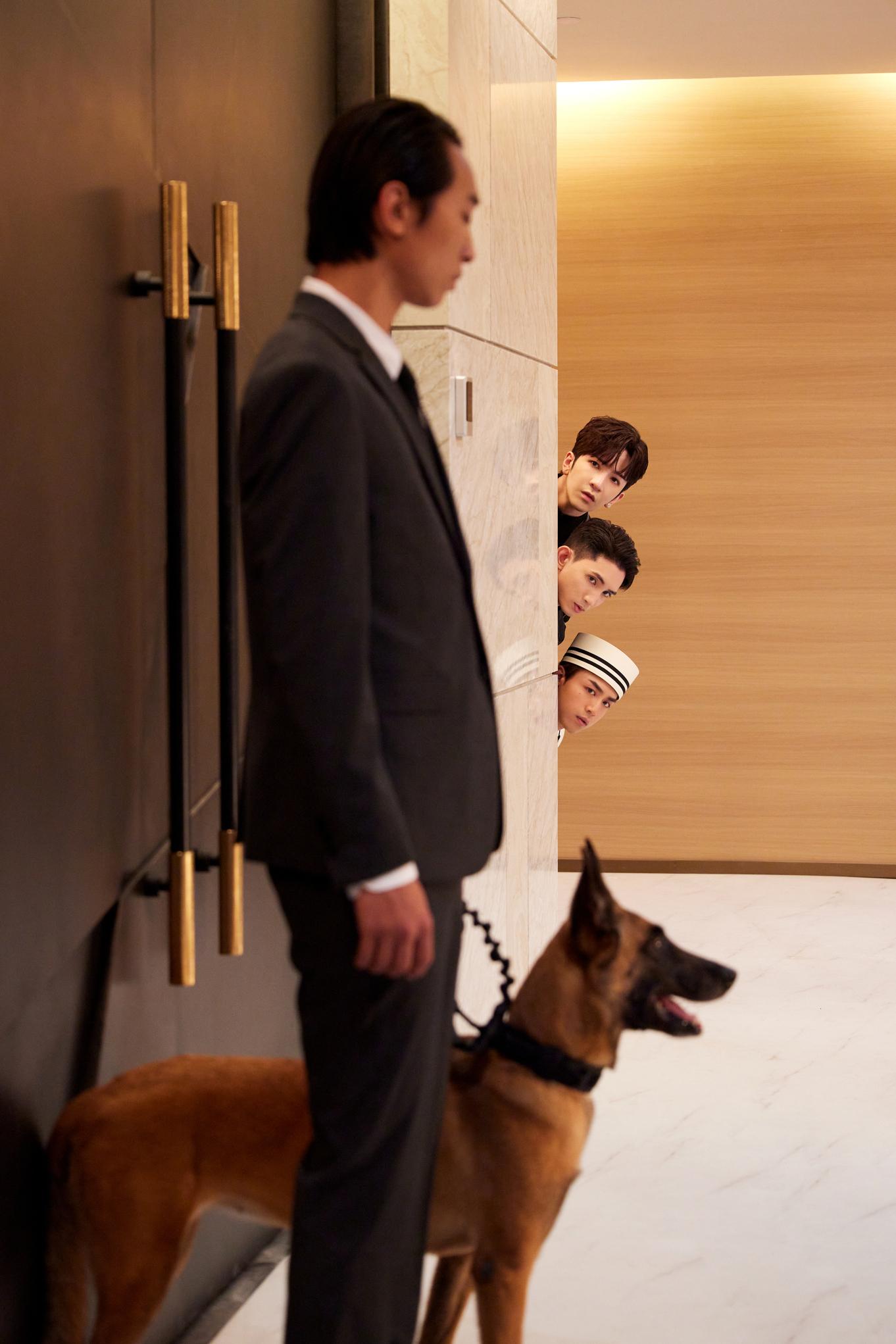 AK演動物傳心師。(《12怪盜》劇照)