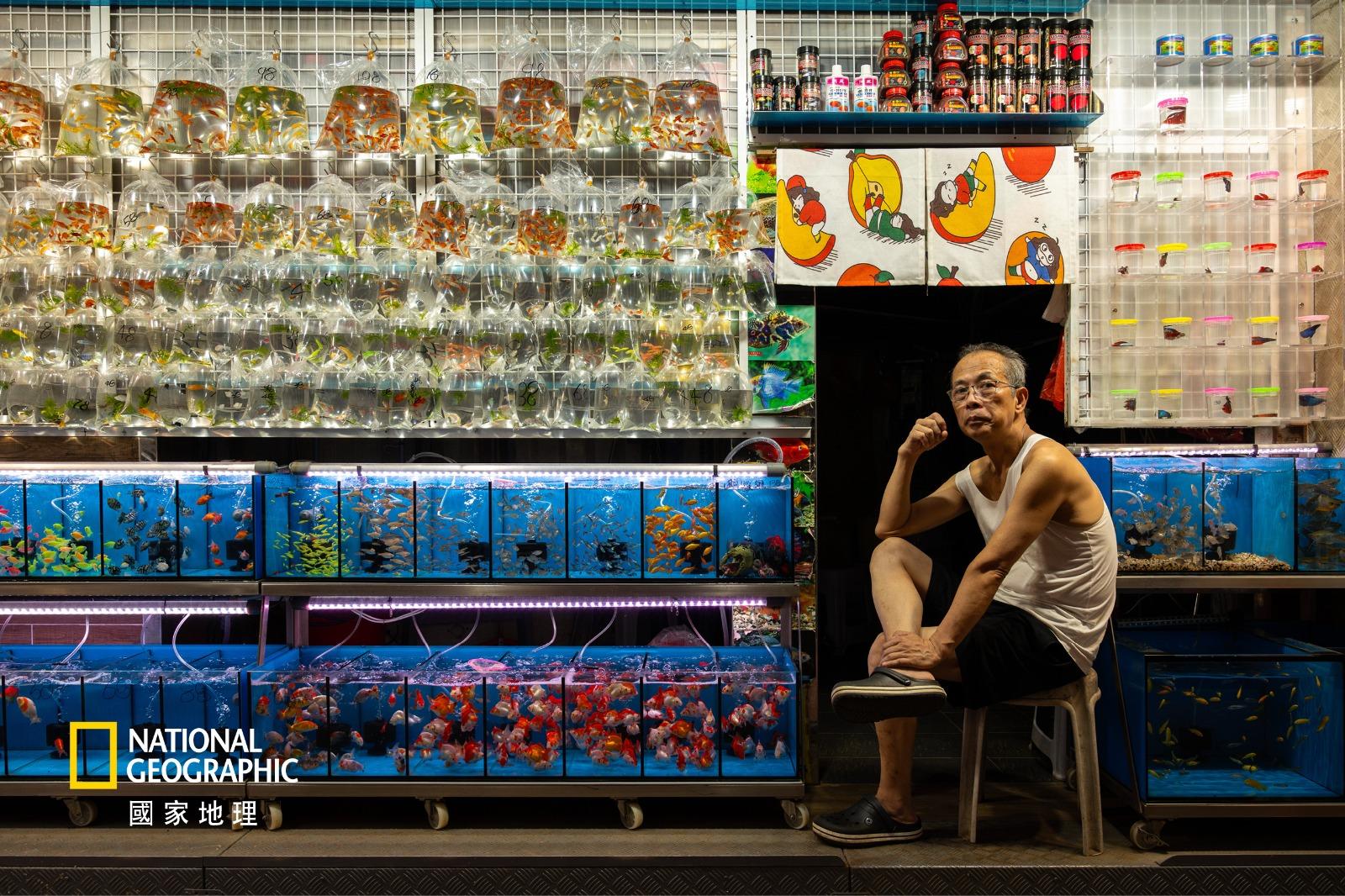 人物組佳作/得獎者:陳朗謙/作品名稱:金魚記憶中的等候