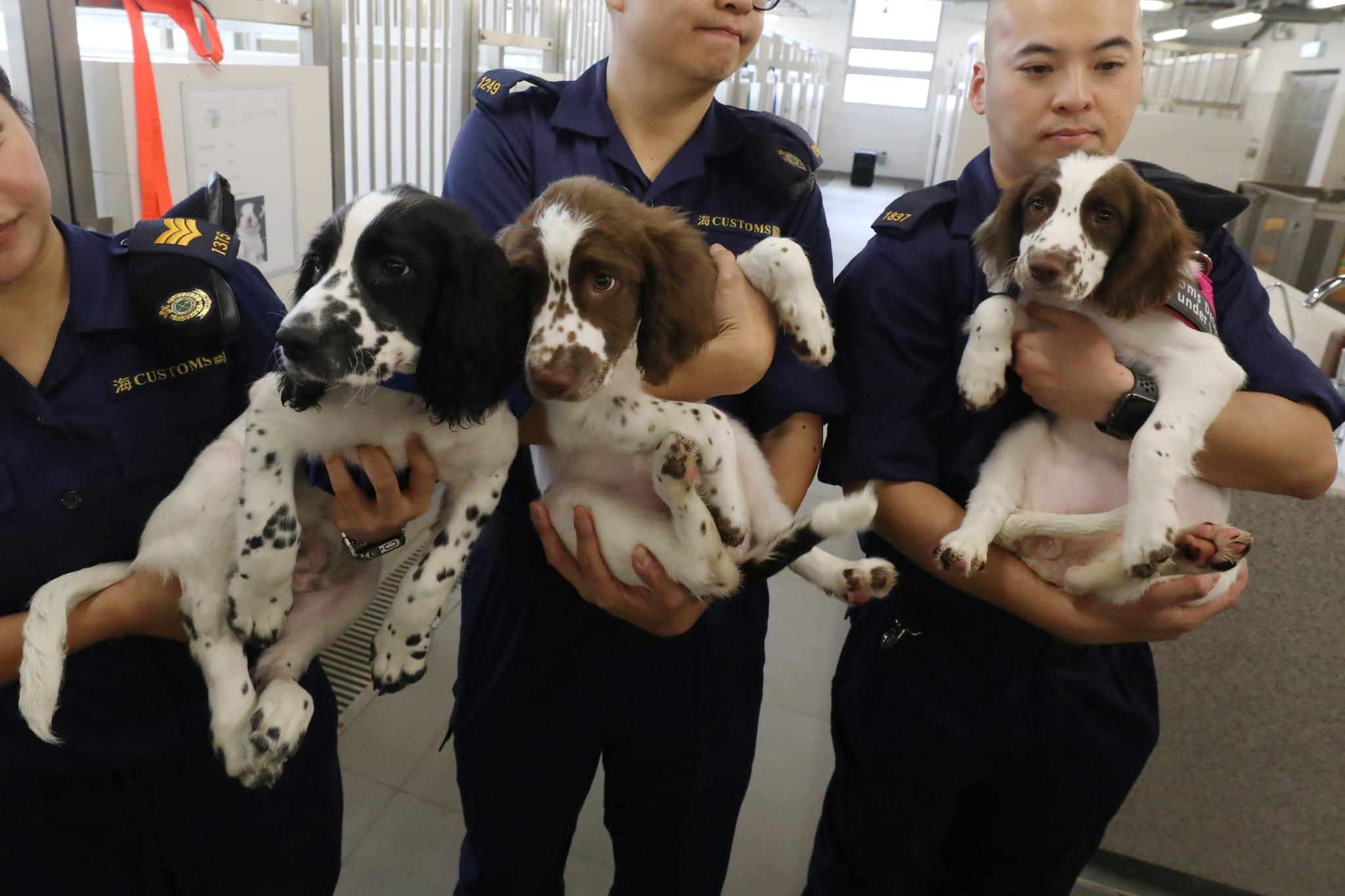 世界海關組織區域犬隻訓練中心今開幕