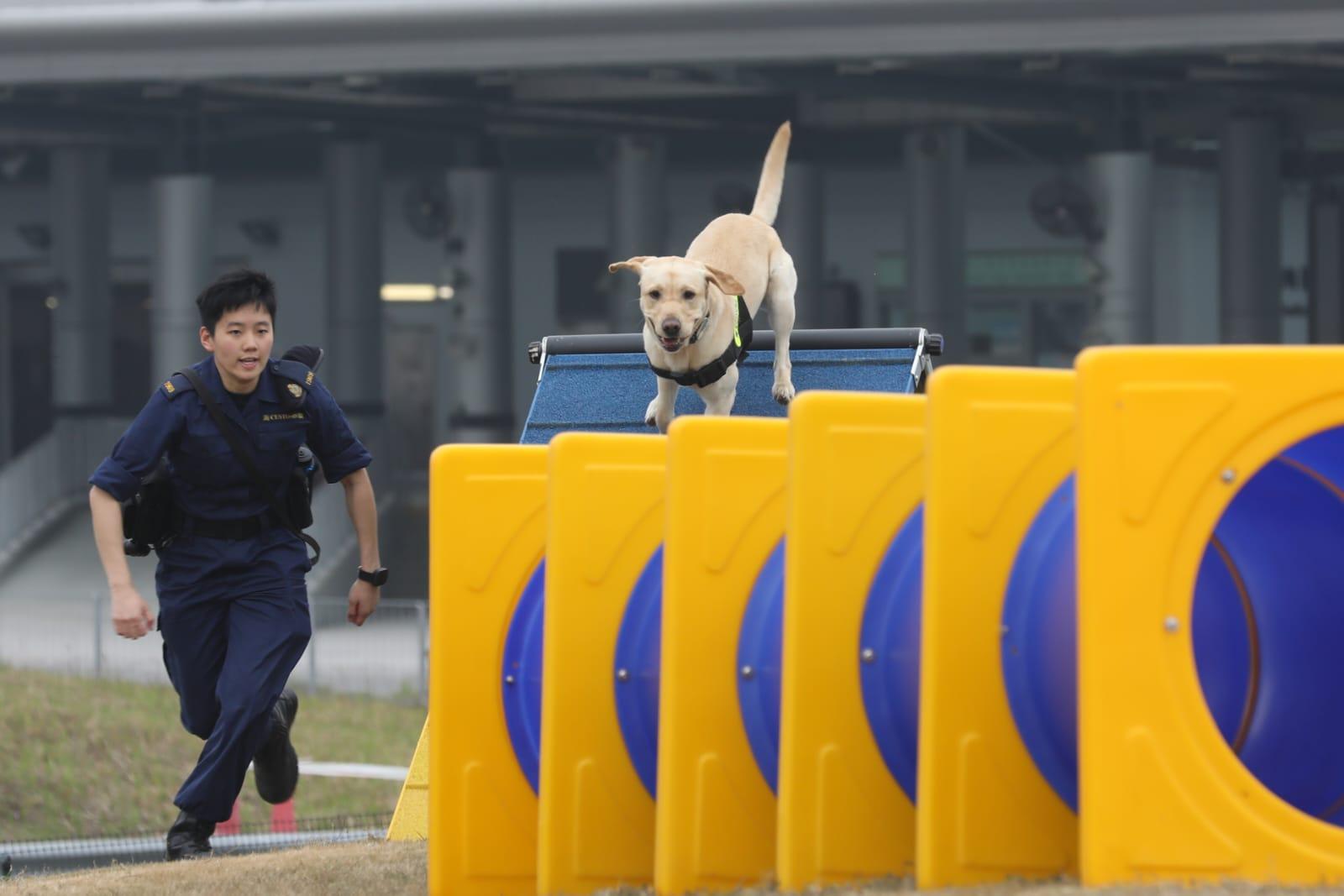 世界海關組織區域犬隻訓練中心今開幕