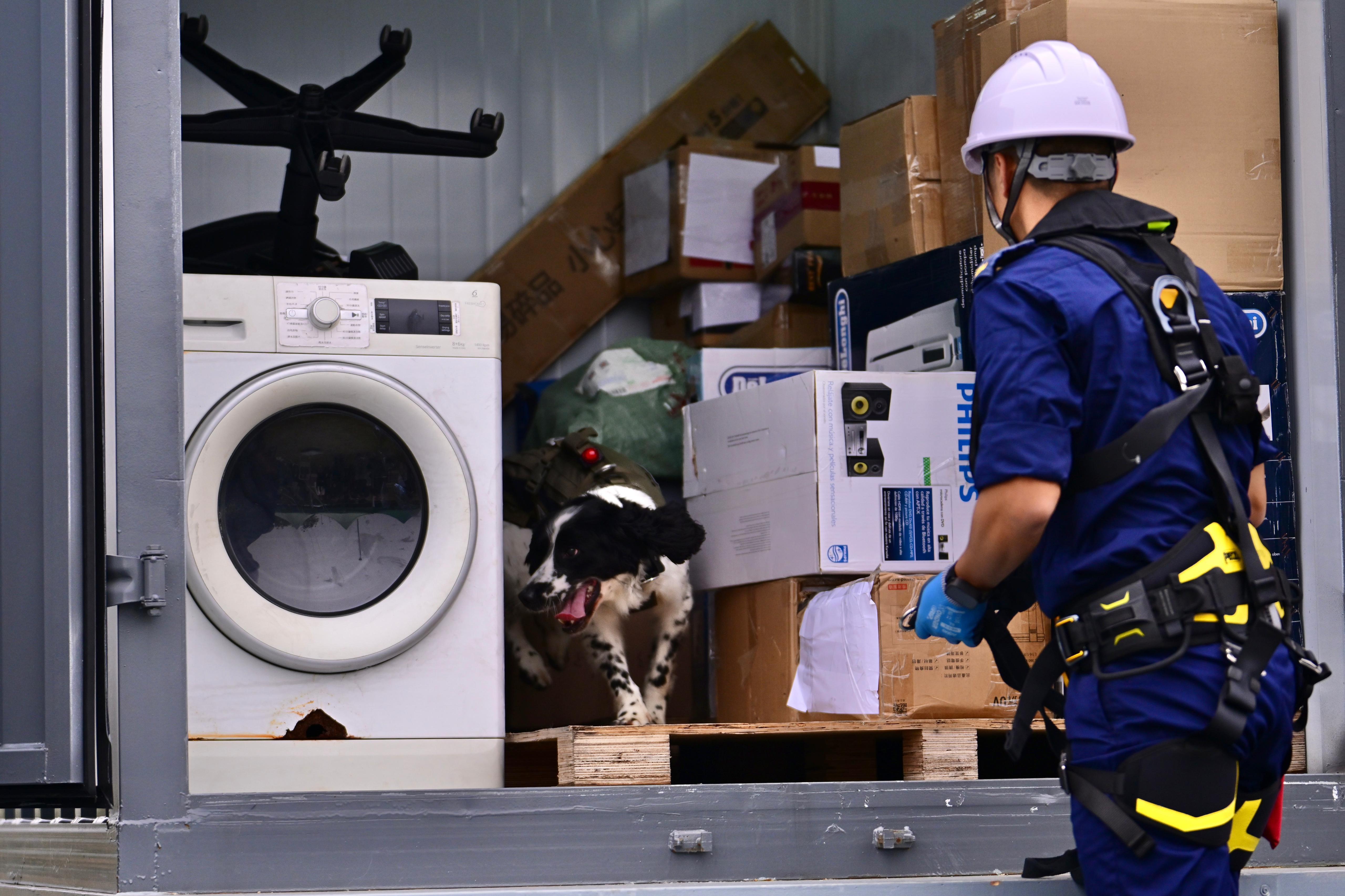 世界海關組織區域犬隻訓練中心今開幕