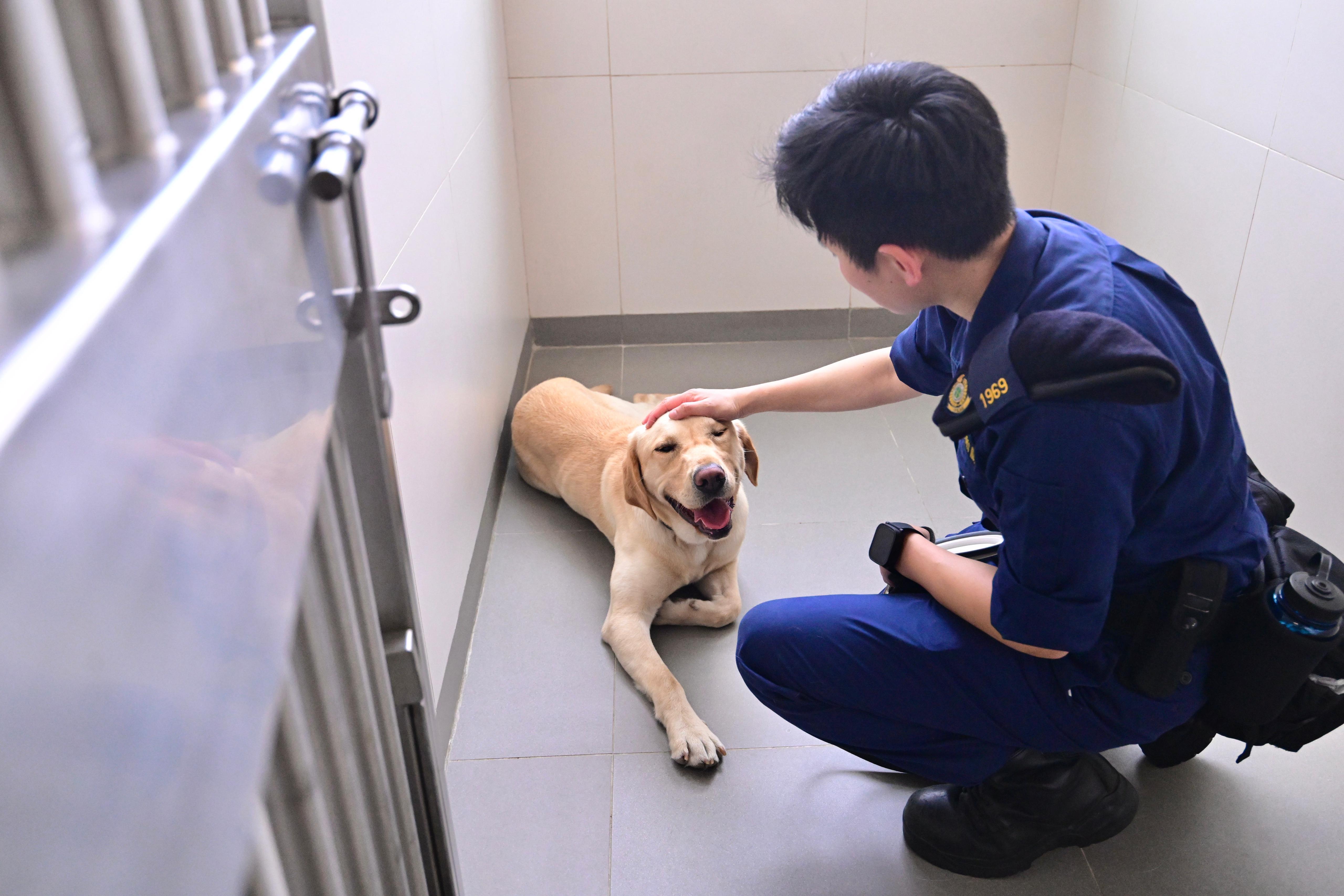 世界海關組織區域犬隻訓練中心今開幕