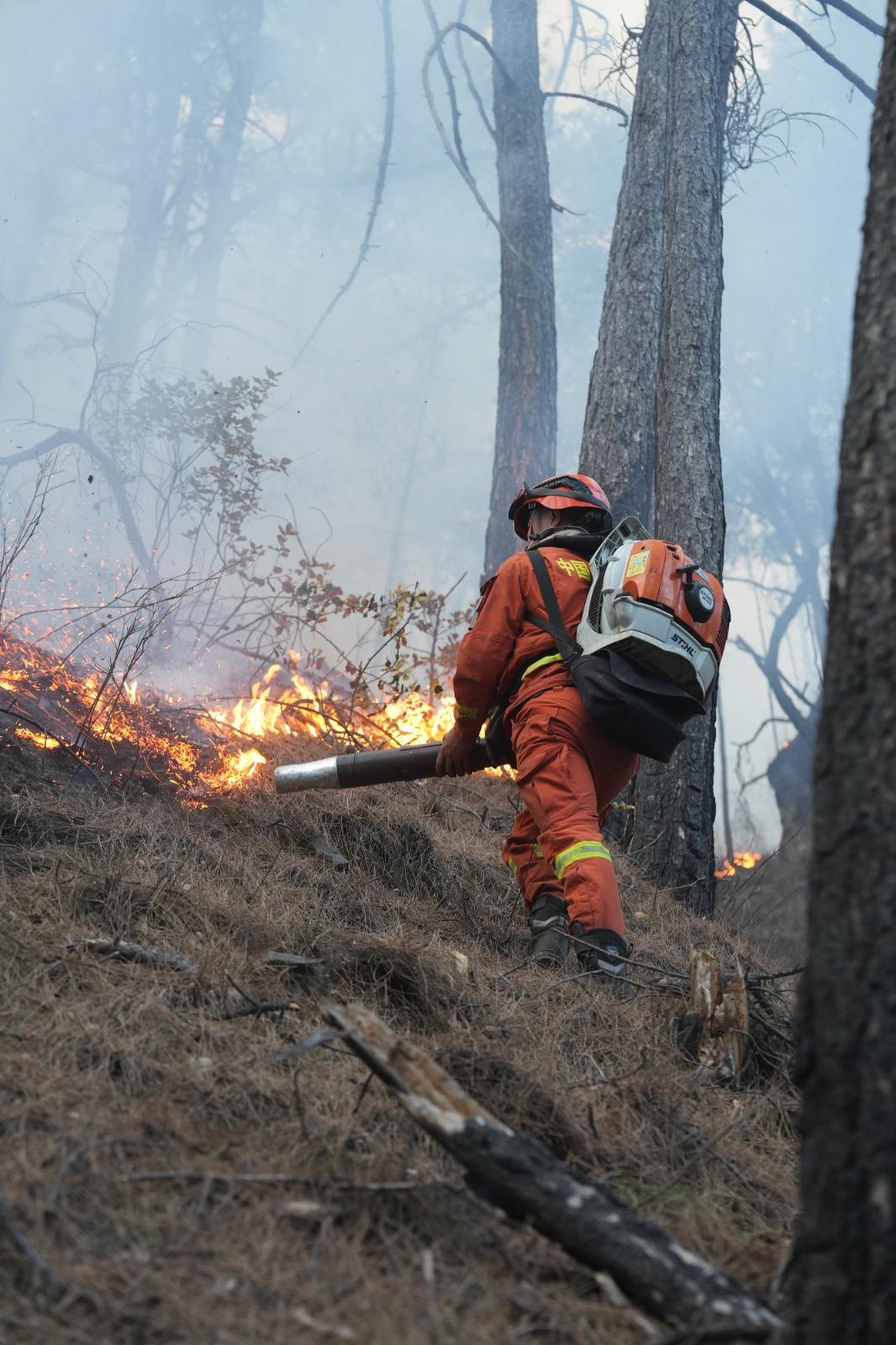 四川雅江山火|三個火場,火線分別長約3公里至20公里。(新華社)