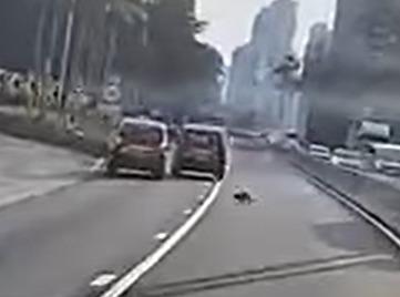 當駛至近紅梅谷路交界時,一隻猴子突然衝出馬路