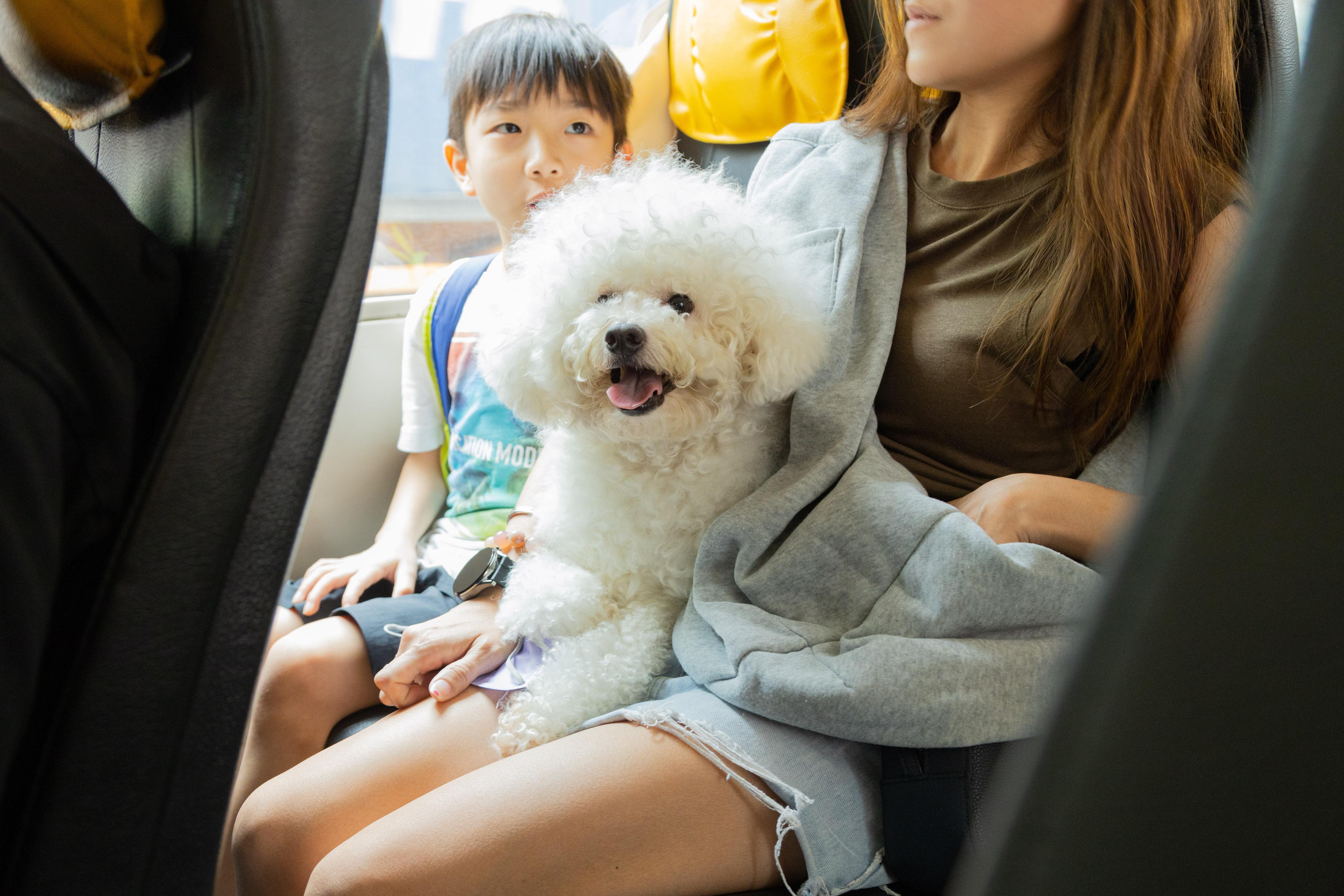 主打寵物保險的 OneDegree為慶祝4周年,今年再度舉辦免費寵物乘車日