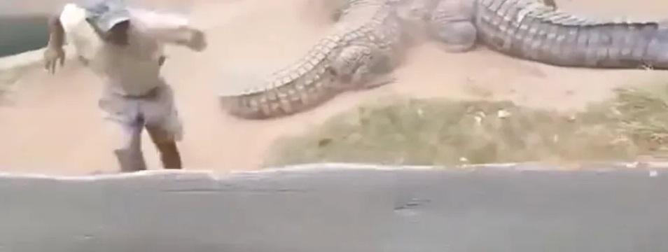 飼養員逃跑。(互聯網)