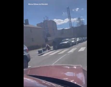 野熊跑入行人道。(互聯網)