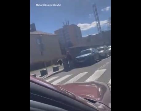 野熊跑入行人道。(互聯網)