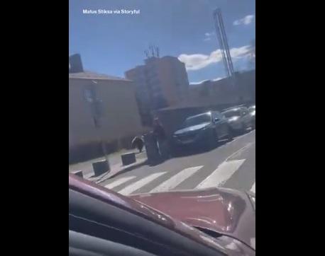 野熊跑入行人道。(互聯網)