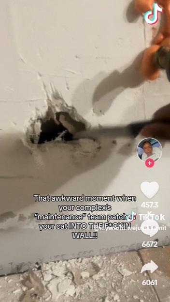 用刀瘋狂撬鑿小洞。(互聯網)