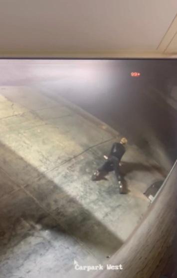 女賊人爆竊前,先做劇烈瑜伽伸展運動熱身。(互聯網)