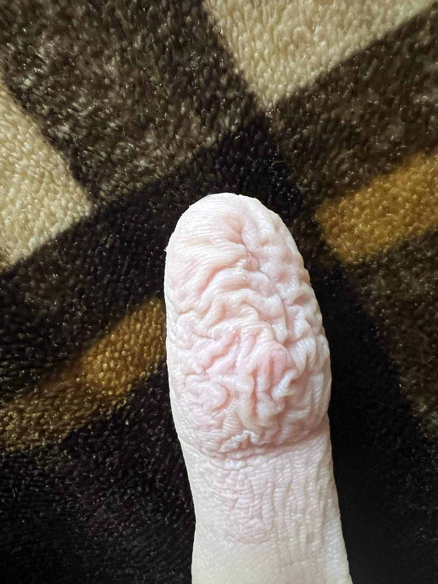 手指頭浸到滿是深刻的皺褶,看來就像腦袋褶紋。(互聯網)