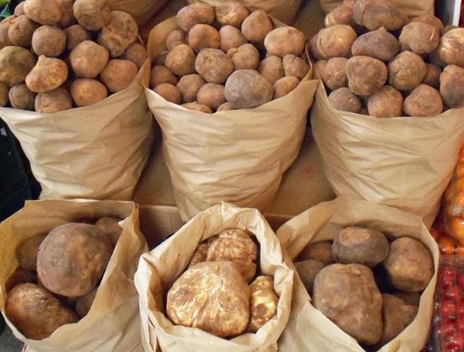 沙漠松露。(互聯網)