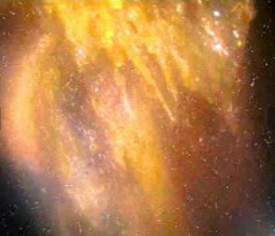 東電公布無人機在損毀反應爐主要圍阻艙基座內部拍攝到的畫面。(互聯網)