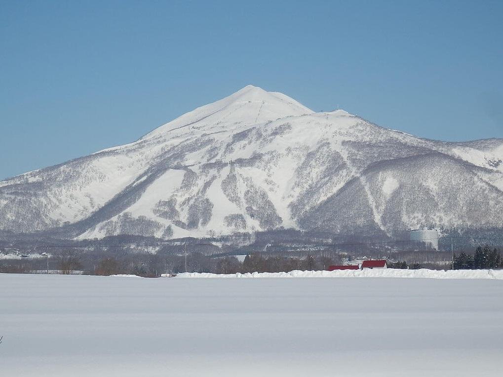 北海道新雪谷町雪山。(互聯網)