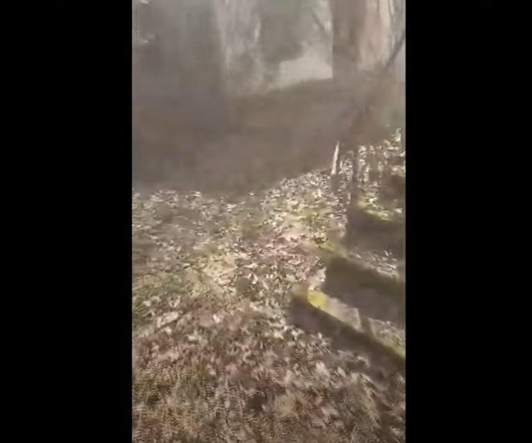 屋外梯階堆滿垃圾、落葉和青台,看來有點陰森。(互聯網)