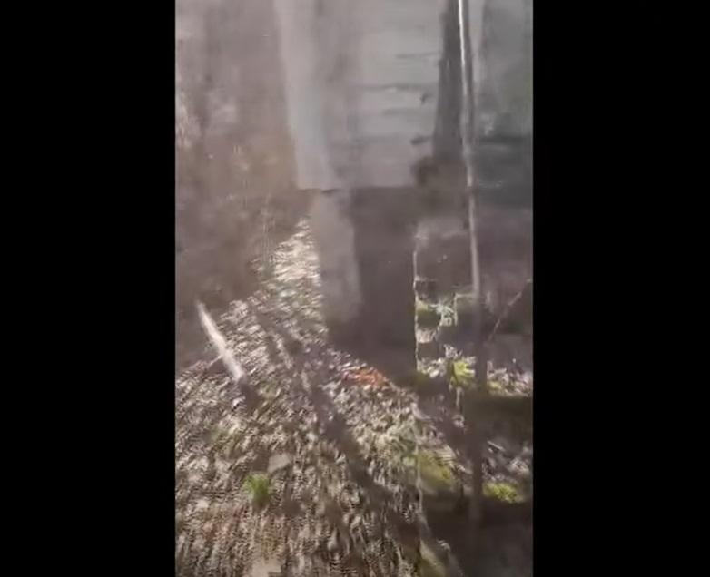 屋外梯階堆滿垃圾、落葉和青台,看來有點陰森。(互聯網)