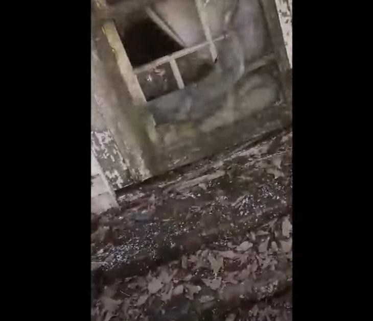 屋外有一處破窗。(互聯網)