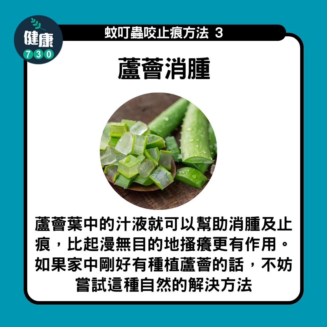 防蚊方法|蘆薈消腫(am730製圖)