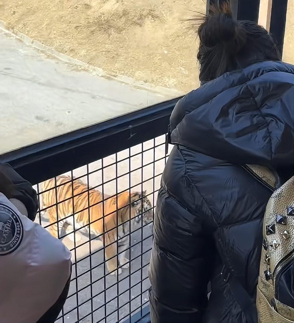 女子用飲料潑醒動物園老虎 被勸阻後反斥:關你甚麼事?
