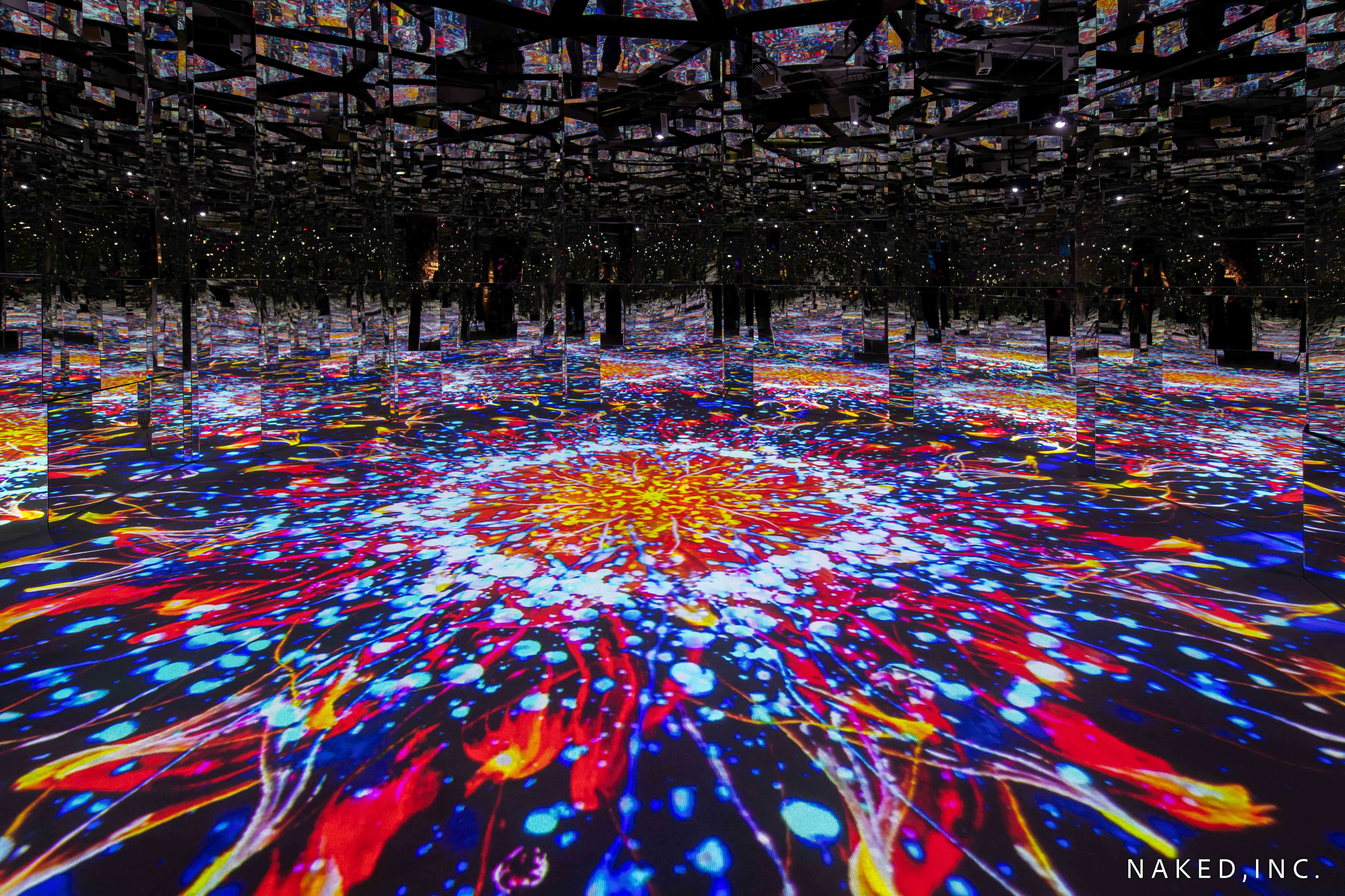 第五展區:花の微觀世界 MICROSCOPY OF FLOWERS