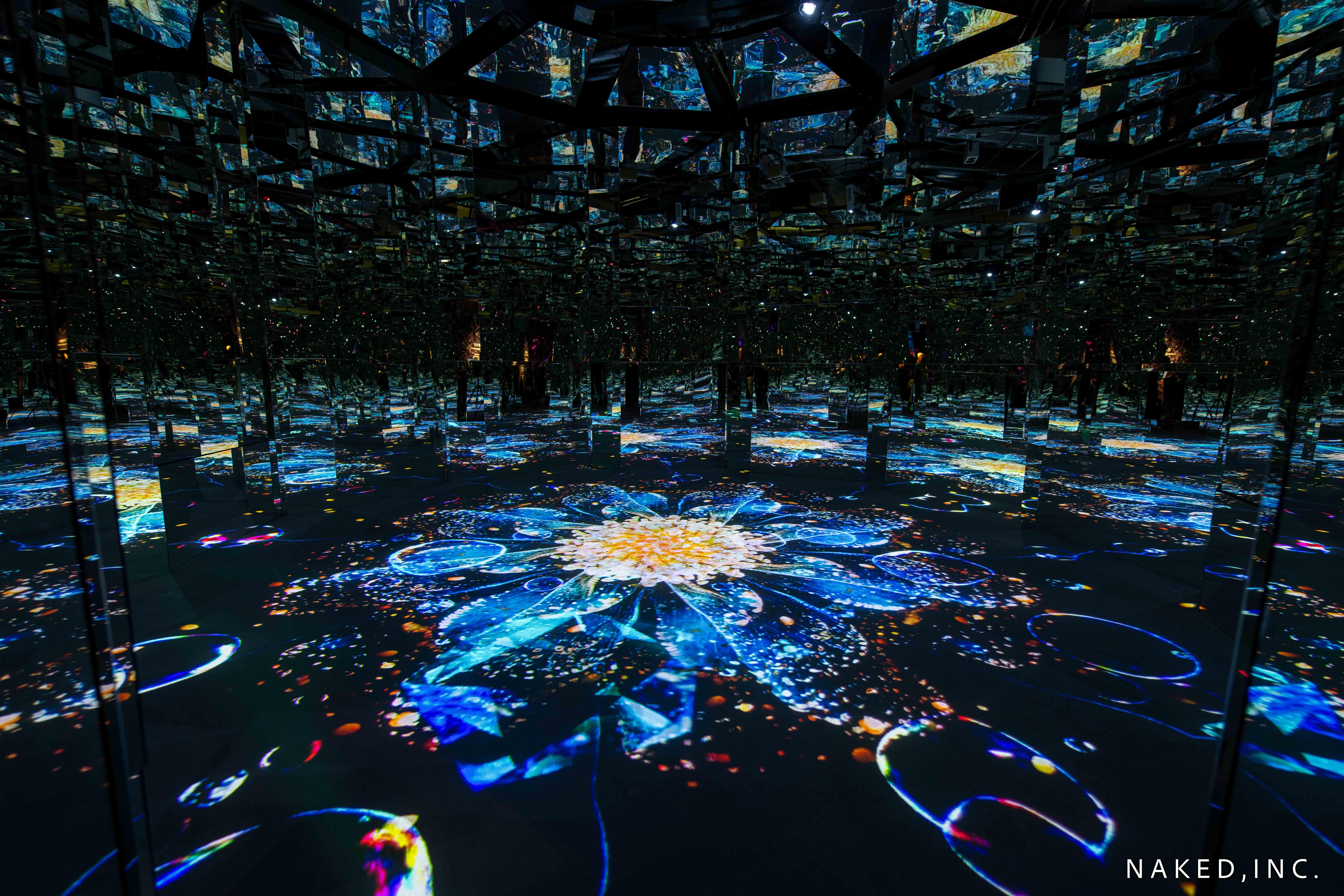 第五展區:花の微觀世界 MICROSCOPY OF FLOWERS